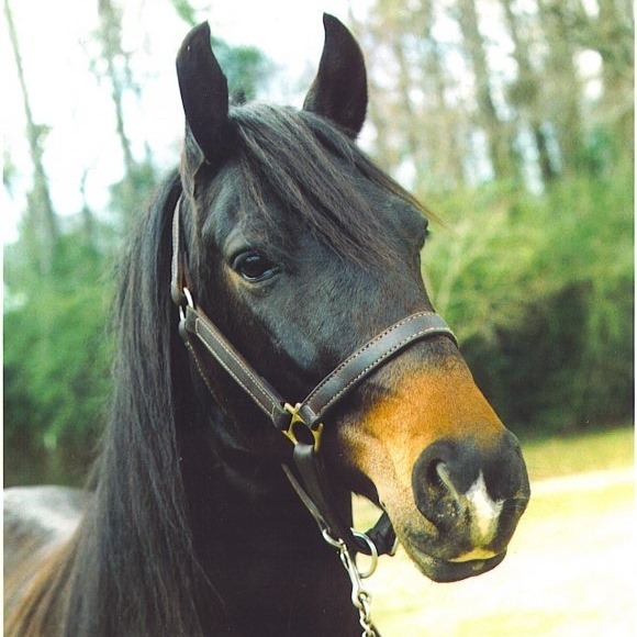 Meet your Posher, Jonathan - Picture 1 of 1